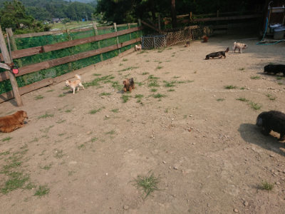 f:id:roukenhome-ann:20190801210624j:plain