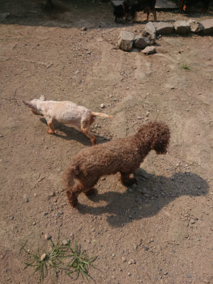 f:id:roukenhome-ann:20190801210701j:plain