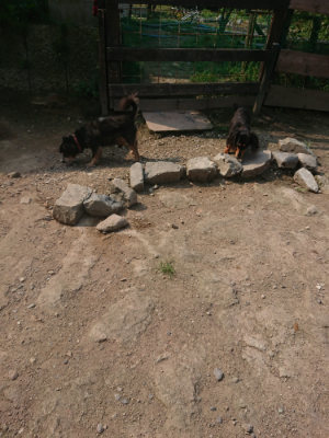 f:id:roukenhome-ann:20190801210758j:plain