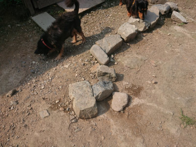f:id:roukenhome-ann:20190801210844j:plain