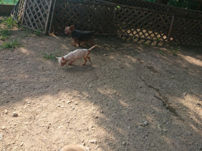 f:id:roukenhome-ann:20190801211543j:plain