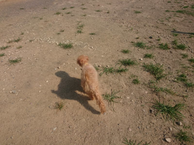 f:id:roukenhome-ann:20190801211625j:plain