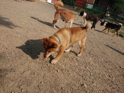 f:id:roukenhome-ann:20190801211751j:plain