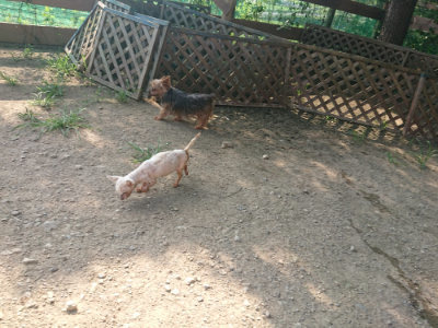 f:id:roukenhome-ann:20190801211807j:plain