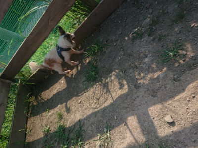 f:id:roukenhome-ann:20190801212210j:plain