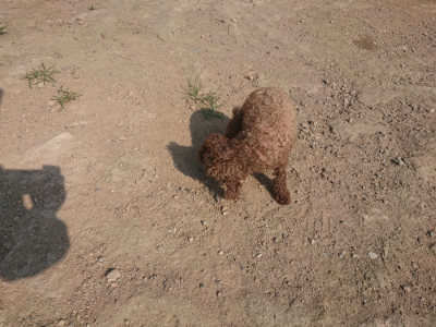 f:id:roukenhome-ann:20190801212306j:plain