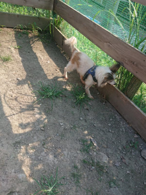 f:id:roukenhome-ann:20190801212405j:plain