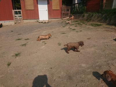 f:id:roukenhome-ann:20190801212457j:plain