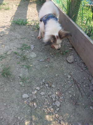 f:id:roukenhome-ann:20190801212515j:plain