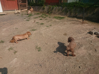 f:id:roukenhome-ann:20190801212538j:plain