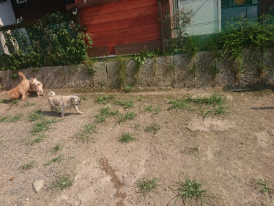 f:id:roukenhome-ann:20190801212546j:plain