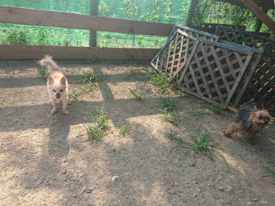 f:id:roukenhome-ann:20190801212554j:plain