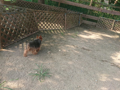 f:id:roukenhome-ann:20190801212641j:plain