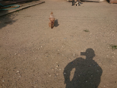 f:id:roukenhome-ann:20190801212710j:plain