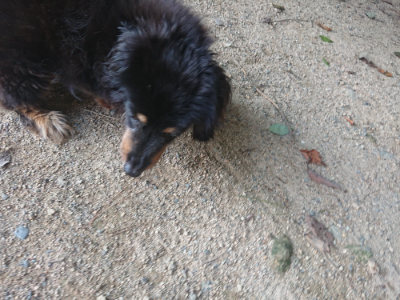 f:id:roukenhome-ann:20190801213235j:plain