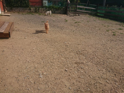 f:id:roukenhome-ann:20190801213250j:plain