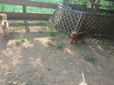 f:id:roukenhome-ann:20190801213339j:plain