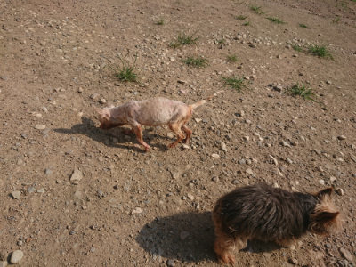f:id:roukenhome-ann:20190801213423j:plain