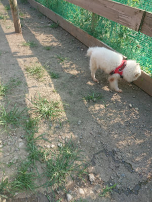 f:id:roukenhome-ann:20190801213448j:plain