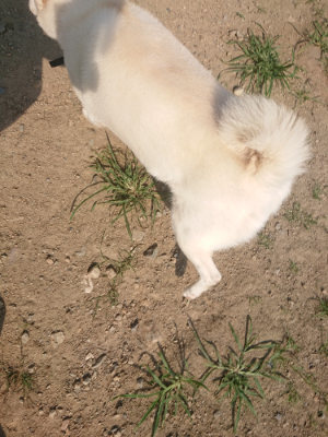 f:id:roukenhome-ann:20190801213458j:plain