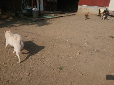 f:id:roukenhome-ann:20190801213555j:plain
