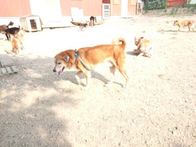 f:id:roukenhome-ann:20190801213652j:plain