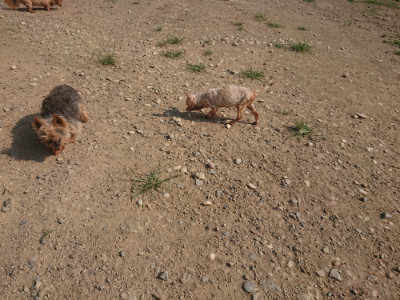 f:id:roukenhome-ann:20190801213732j:plain