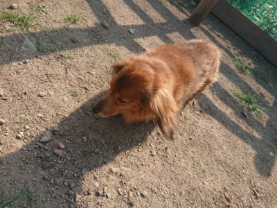 f:id:roukenhome-ann:20190801213740j:plain