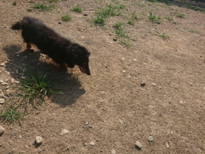 f:id:roukenhome-ann:20190801213810j:plain