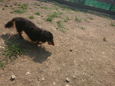 f:id:roukenhome-ann:20190801213816j:plain