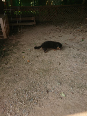 f:id:roukenhome-ann:20190801213830j:plain