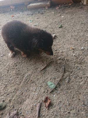 f:id:roukenhome-ann:20190801213855j:plain