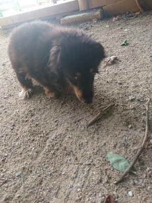 f:id:roukenhome-ann:20190801213902j:plain
