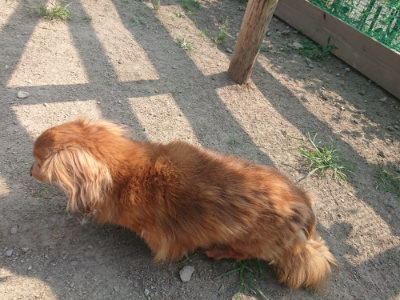 f:id:roukenhome-ann:20190801213917j:plain