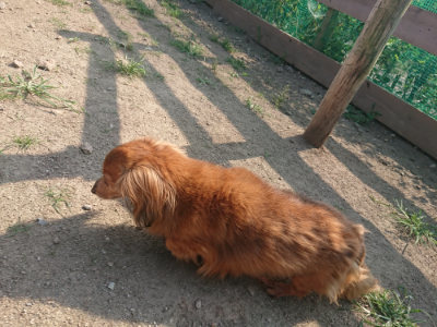 f:id:roukenhome-ann:20190801213928j:plain