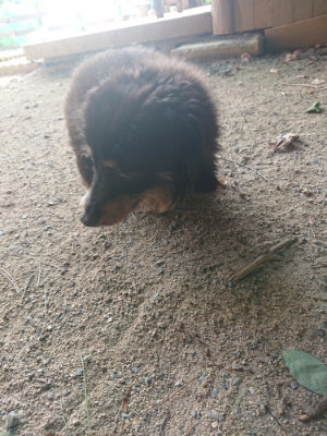 f:id:roukenhome-ann:20190801213934j:plain