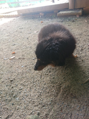 f:id:roukenhome-ann:20190801213940j:plain