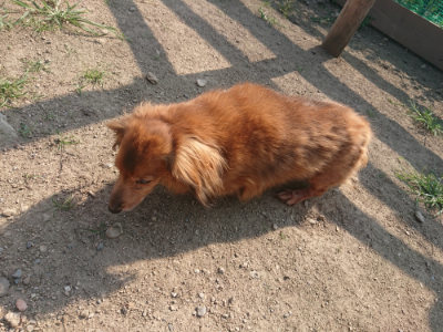 f:id:roukenhome-ann:20190801213949j:plain