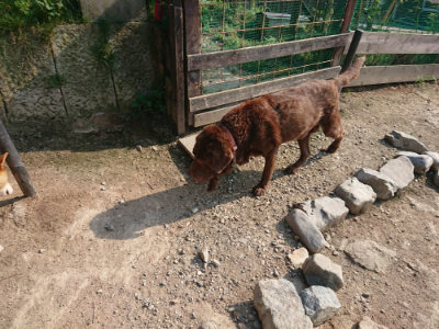 f:id:roukenhome-ann:20190801214446j:plain