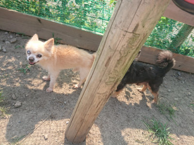 f:id:roukenhome-ann:20190801214536j:plain