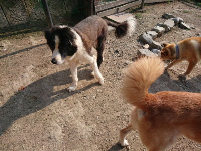 f:id:roukenhome-ann:20190801214610j:plain