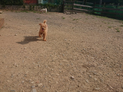 f:id:roukenhome-ann:20190801214721j:plain