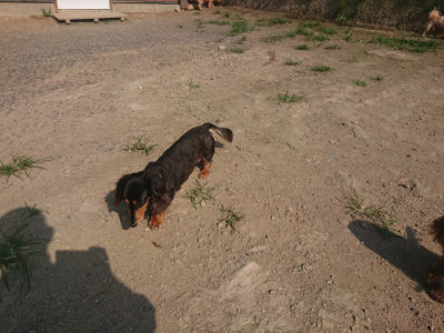 f:id:roukenhome-ann:20190801214756j:plain