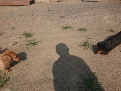 f:id:roukenhome-ann:20190801214824j:plain