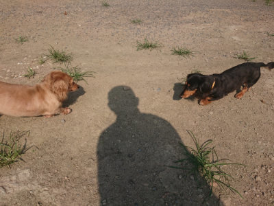 f:id:roukenhome-ann:20190801214832j:plain