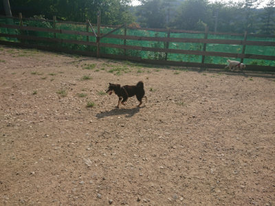 f:id:roukenhome-ann:20190801214854j:plain