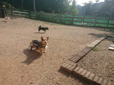 f:id:roukenhome-ann:20190801214928j:plain