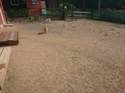 f:id:roukenhome-ann:20190801214942j:plain