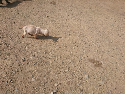 f:id:roukenhome-ann:20190801215001j:plain