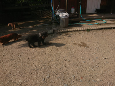f:id:roukenhome-ann:20190801215015j:plain